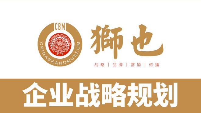 山西太原专业品牌策划｜战略咨询公司千亿平台网站：知名品牌选狮也咨询｜(图3)